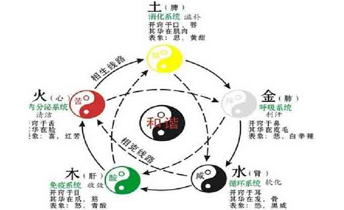 养生会所装修设计风水布局